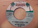 THE VOICE MASTERS IF A WOMAN CATCHES A FOOL, YOU'VE HURT ME BABY, BAMBOO