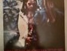 Lenny Kravitz Are You Gonna Go My Way LP. Used. Original Record.