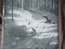 1burzum hvis lyset tar oss vinyl back on black 2008