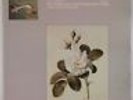 BACH: Six Suites Unaccompanied Cello, Jean-Max Clement L’OISEAU LYRE LP OLS 133