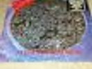 Morbid Angel Altars of Madness Original LP Earache Mosh 11 Great Condition