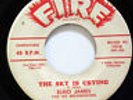 ELMO JAMES-THE SKY IS CRYING /HELD MY BABY LAST NIGHT ON FIRE BLUES 45-STRONG VG