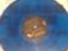 Elvis Presley Moody Blue blue vinyl  USA Original vinyl LP