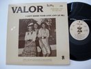 ULTRASONIC CLEAN - VALOR 12