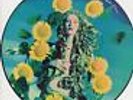 Sowing The Seeds Of Love ... Tears For Fears UK 12