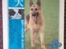 THE DOG weird japan only dogs barking disco music - ultimate dog lovers vinyl LP