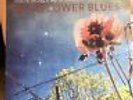 Wildflower Blues LP Jolie Holland & Samantha Parton jazz blues be good tanyas