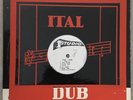 DUB SPECIALIST   ITAL DUB   STUDIO 1 RARE ROOTS DUB VG+ CON