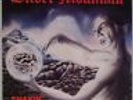 SILVER MOUNTAIN: Shakin’ Brains ROADRUNNER Holland Europe HEAVY METAL LP Orig