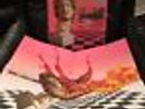 Macintosh Plus Floral Shoppe LP Pink Bubble Gum Color Vinyl W/ Poster Vaporwave