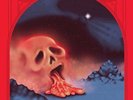 Damaged Bug Cold Hot Plumbs Vinyl LP Record & MP3 john dwyer of thee oh sees/ocs