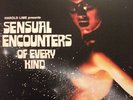 Ronny Romanovitch Sensual Encounters of Every Kind OST LP Vinegar Syndrome Ltd