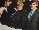 STRAY CATS  ORIGINAL 1982 HONG KONG IMPORT DIFF COVER ART VINYL LP  33RPM