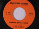 CALS: Amazon Bossa Nova /  Another Plan For School  45 (Mod Soul Jazz) Soul