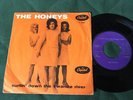 THE HONEYS (Beach Boys) DANISH 45 Picture Sleeve SURFIN DOWN SWANEE RIVER/SHOOT