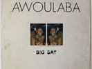 BIG SAT AWOULABA IVORY COAST ELECTRO DANCE FLOOR CLEAN LISTEN
