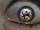 The Greatest Show on Earth – Horizons – SHVL 769 – LP Vinyl Record