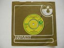 LOVE Keep On Shining / Everlasting First 45 7