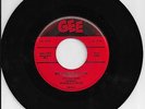 TEENAGERS (Frankie Lymon) 