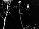 DARKTHRONE - Under A Funeral Moon Gatefold LP black NEUWARE