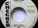 TONY MARCH 45 Cousin rockin rollin Blues/ Stompen Rock CHECKER rocknroll  ws1445