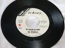 RARE 60'S GARAGE PUNK/ THE SPARKLES / 
