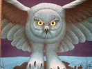 Rush - Fly By Night - vinyl LP - EX