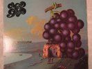 CRANIUM'S Moby Grape WOW  white label dj promo only MONO Lp inner psych rare