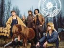 Steve'n'Seagulls-Farm Machine  (UK IMPORT)  Vinyl / 12