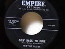 BUSBY BROS  Goin Back To Dixie EMPIRE BUSBICE Rockabilly mp3 WAYNE BUZZ ORIGINAL