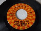 NORTHERN SOUL - ANITA HUMES & THE ESSEX 45  ROULETTE 4542 WHAT DID I DO   VG