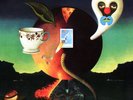 Pink Moon [LP] by Nick Drake (Vinyl, Jul-2008, Island Records USA)