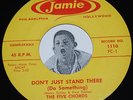 Doo Wop 45 THE FIVE CHORDS Don't Just Stand There / Love Is Like Music Jamie