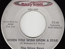 STING REYS - Crazy Town 101 (Colo.) - When You Wish Upon a Star - '64 DOO-WOP 45