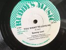Come Off The Road / You Want To Love Me - Sammy Levi- Ruddys Vinyl 12