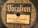 Vocalion 1440 Jed Davenport  HOW LONG HOW LONG Harmonica & Guitar  V 78rpm 1928