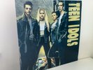 Teen Idols Self Titled Vinyl LP RARE 1997 Honest Don's Records Screeching Weasel