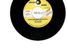 Del-Vikings DOO WOP 45 (LUNIVERSE 106) Somewhere Over The Rainbow/Hey, Senorita