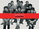 AP | Blood, Sweat & Tears - Bloodlines 4-LP-Box (33rpm, 200g-edition)