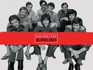 AP | Blood, Sweat & Tears - Bloodlines 8-LP-Box (45rpm, 200g-edition)