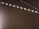 FROST, Ben - Steel Wound - Vinyl (LP)