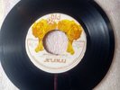 ORIG BIG CAT ROOTS 45 KILLER/ ACIAMAJ - JAH CHOSEN PEOPLE/ VERSION/ HEAR