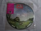 NASTY SAVAGE indulgence USA METAL BLADE RECORDS LP Picture Disc 72213-1