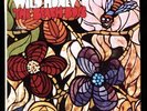VINYL LP Beach Boys - Wild Honey (1967) mono Capitol Records T 2859 VG++/NM-