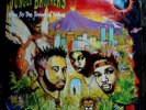 Jungle Brothers ?– Done By The Forces Of Nature