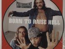Motorhead, Ice T & Whitefield Crane - Born To Raise Hell 12