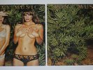 Roxy Music Country Life LP with Original & Replacement Covers