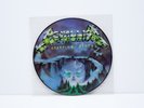 Metallica Creeping Death LP Picture disc original