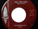 The SHEPPARDS 45 Feel Like Lovin / Just Like You 1959 Doo Wop D1616