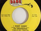 THE STRANGELOVES I WANT CANDY / IT'S ABOUT MY BABY, 1965 (7